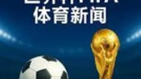 互联网巨头财报发布：盈利创新高，市场反响热烈